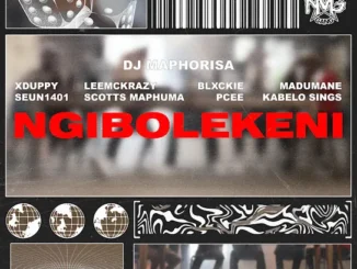 DJ Maphorisa - Ngibolekeni
